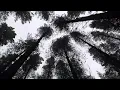 Wolf Alice - Moaning Lisa Smile (Slowed + Reverb)
