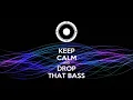 Brandon Beal - Twerk It Like Miley (BASS BOOSTED)