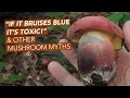 If It Bruises Blue It s Toxic And Other Mushroom Myths