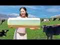 Download Lagu Authentic Village Food| Fresh Cow Milk and Flatbread Recipe!