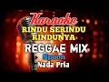 Download Lagu RINDU SERINDU RINDUNYA  Spoon Reggae mix Karaoke nada Pria