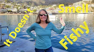 It Doesn’t Smell Fishy Ep96