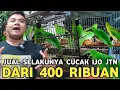 SEDIH GAK LAKU LAKU MAS BROCIN JUAL CUCAK IJO JANTAN DARI 400 RIBUAN AJA BUAT BELI PISANG