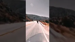 يا بلقاسم  يا بلقاسم