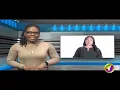 Jamaican Reggae Artiste Ziggy Marley Release New Single | TVJ Entertainment Prime