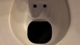 Composting Head: Why You Should Have One! | Sailing Wisdom