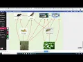 TW Salt Marsh Food Web Help 2022