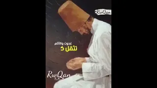 وزري ثقيل  اشتكي من حمله دندنها