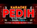 Download Lagu PEDIH KARAOKE NADA PRIA / COWOK | VOC. \u0026 CIPT. H. RHOMA IRAMA | DANGDUT | ​@amkaraoke