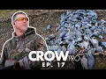 Download Lagu Menembak Merpati Sore Bersama Andy Crow | CrowPRO | Olahraga Lapangan | Di Tempat Persembunyian