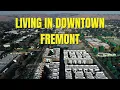 Living in Downtown Fremont CA Full Neighborhood Tour