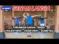 Download Lagu SENAM LANSIA TURUNKAN DARAH TINGGI - KOLESTEROL - ASAM URAT - DIABETES