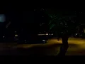 Download Lagu Banjir!!!...Hujan Lebat dan Petir Kuat Terakam Di Camera.