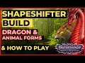 PATHFINDER WOTR - SHAPESHIFTER Druid Build Guide