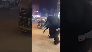 الغوريلا العملاقة ظهرت في الشارع اكسبلور اضحكك Explore ترند الغوريلا Rap Music 