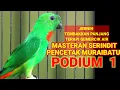 Download Lagu 🔴 Masteran Serindit Tembakkan Panjang Untuk muraibatu jawara ‼