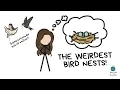 The Weirdest Bird Nests