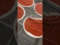 Download Lagu Pizza sauce applicator perfectly applies tomato sauce [FoodJet]