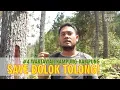 Download Lagu #4 SAVE DOLOK TOLONG!