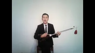                       دندنها
