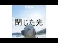 Download Lagu 閉じた光　RADWIMPS　歌詞動画