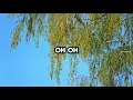 Jamie MacDonald - YOU CAN’T TAKE MY SONG (Lyrics)