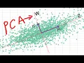 Literally Everything You Need to Know about Principal Component Analysis (PCA)