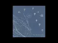 The Secret Stars - Wait Riot Kill 1995
