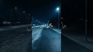 Amr Diab Malish Badeel Lyrics عمرو دياب مليش بديل حالات واتس 