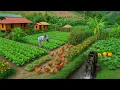 Download Lagu We Made a Fortune Selling Vegetables Off-Grid – You Won’t Believe How!