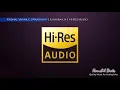 Download Lagu Kadhal Vaanile | Raasaiyya | Ilaiyaraaja | S.P.B \u0026 Preethi | Hi-Res Audio