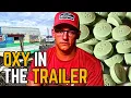 Download Lagu From 13-Year-Old Trailer Park Dealer to Using Every Drug Imaginable to How I Recovered