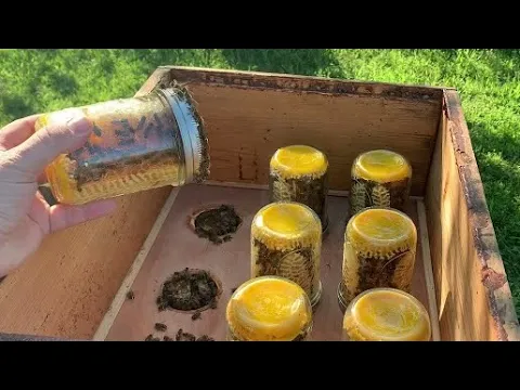 Download MP3 #MasonJar Comb #Honey | #Beekeeping