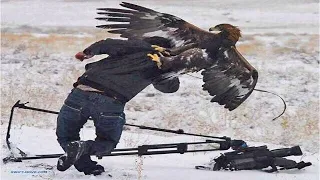 Most Terrifying Eagle Attacks Ever Caught On Camera