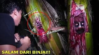 Download Jangan Pukul Pohon Pisang Ada Penuggu Pocong Tinggal Di Dalamnya!! Part2 MP3