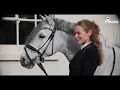 Bit Mode 2021: Pikeur