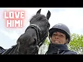 Download Lagu Lunging Rising Star⭐, Riding Teije Rein \u0026 All Horses in the Pasture | Friesian Horses