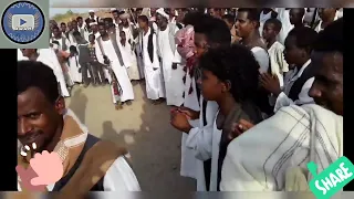 هوسيت تربال العبابده  ناصر طرشون  البحر الأحمر  عبابده  تربال دندنها