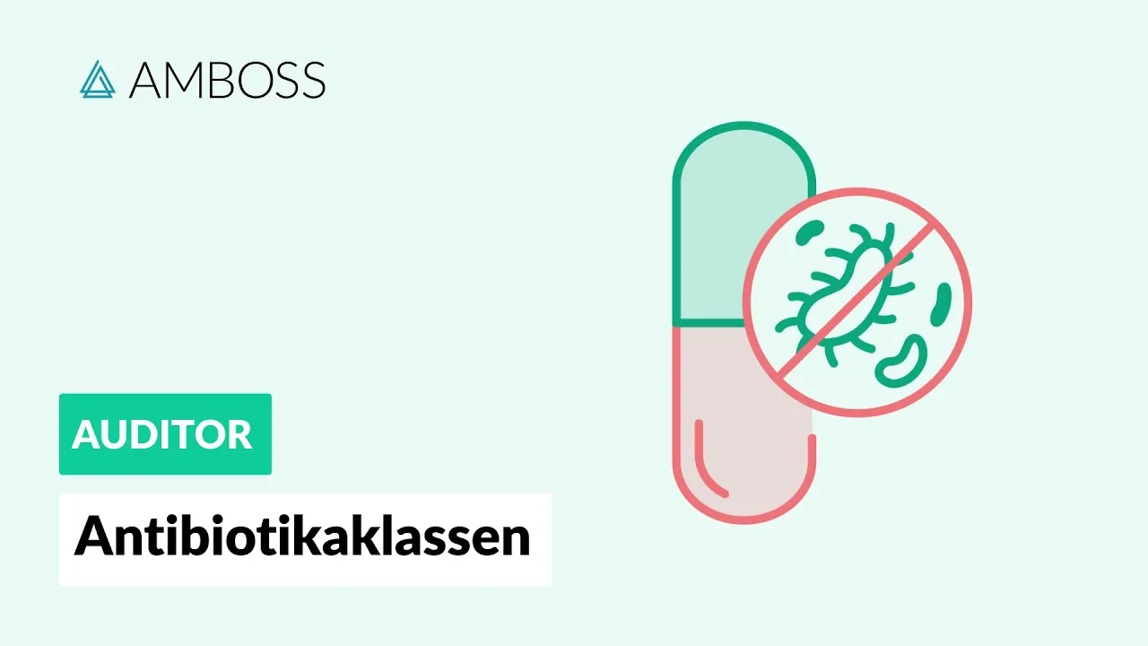 Antibiotikaklassen -- Antibiotika Teil 1 -- AMBOSS Auditor