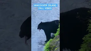 Thanksgiving Weekend camping on Vancouver Island