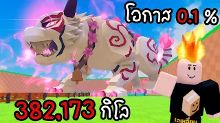 ผมโชคดีได้ “ไข่เสือ” โอกาสแค่ 0.1%!! 382,173 กิโล ติด Top เซิร์ฟ 😱 | Roblox Steal An Egg