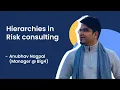 Hierarchies in Risk consulting - explained by a Big4 manager