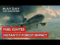 Lagu Airbus A320 Crash Investigation Flight 296 Disaster