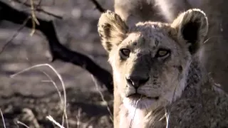 ATB Future Memories HD  ATB Future Memories HD