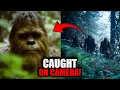 13 Scariest Bigfoot Sightings Compilation Ever Recorded