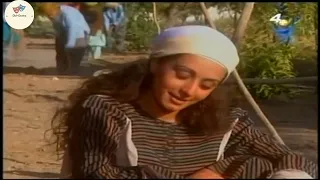 مسلسل شام شريف الحلقة 30 والأخيرة 