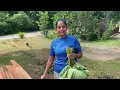 Download Lagu Farm to Table. Caribbean experience cooking Dasheen leaves ( Taro), @ellisfoodandmore6008