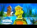 Download Lagu Every Lesson From Pajanimals! | LEARN | Pajanimals