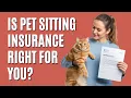 Is Pet Insurance Worth It for Cats Cost Coverage When to Buy - The Comforted Kitty
