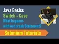 19E Java Basics for Selenium - Switch Case